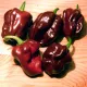 Piment habanero Orange 25 graines