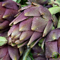 Artichaut Violet de Provence 20 graines