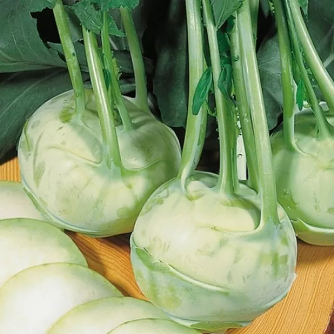 CHOU-RAVE BLANC DELICATESS 300 graines