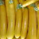 Courgette jaune