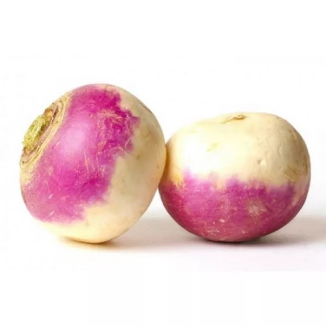 Navet de Nancy 4 grammes