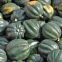 COURGE Table King
