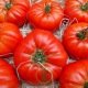 Tomate Marmande