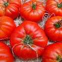 Tomates classiques 60 graines