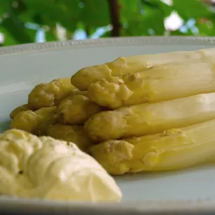 ASPERGE ARGENTEUIL HATIVE