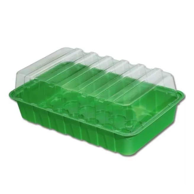 Mini serre semis bouturage Charles