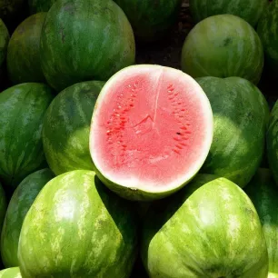 Pastèque Crimson Sweet BIO