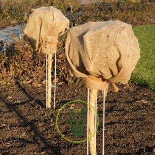 Voile protection pour plante