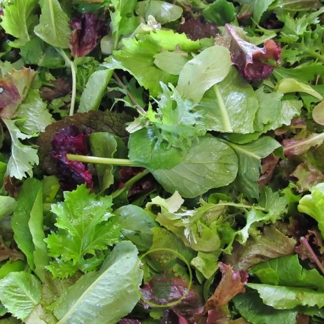 Mesclun asiatique BIO