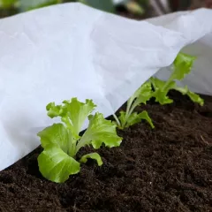 Voile de forçage et de protection - 1 x 10 mètres