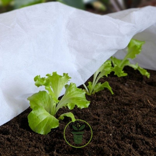 Protection contre le gel des plantes polyvalente idéale pour les jeunes  arbres