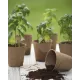 Pots biodégradables (Jiffy pots)