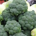 Chou brocoli Calabrese BIO 1 gramme