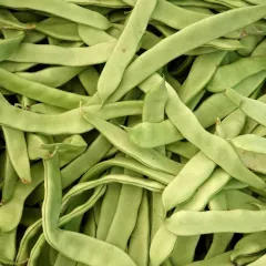 Haricot à rames Helda BIO 15 grammes