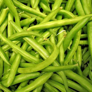 Haricot nain mangetout Maxi BIO 20 grammes