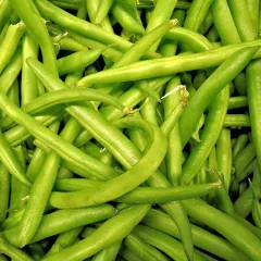 Haricot nain mangetout Maxi BIO 20 grammes