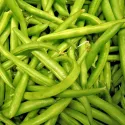 Haricot nain mangetout Maxi BIO 20 grammes