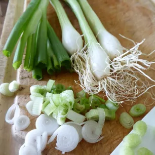 Oignon blanc de Lisbonne BIO