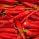 Piment de Cayenne BIO