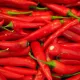 Piment de Cayenne BIO