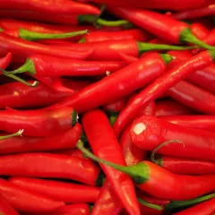 Piment de Cayenne BIO 0,25 gramme