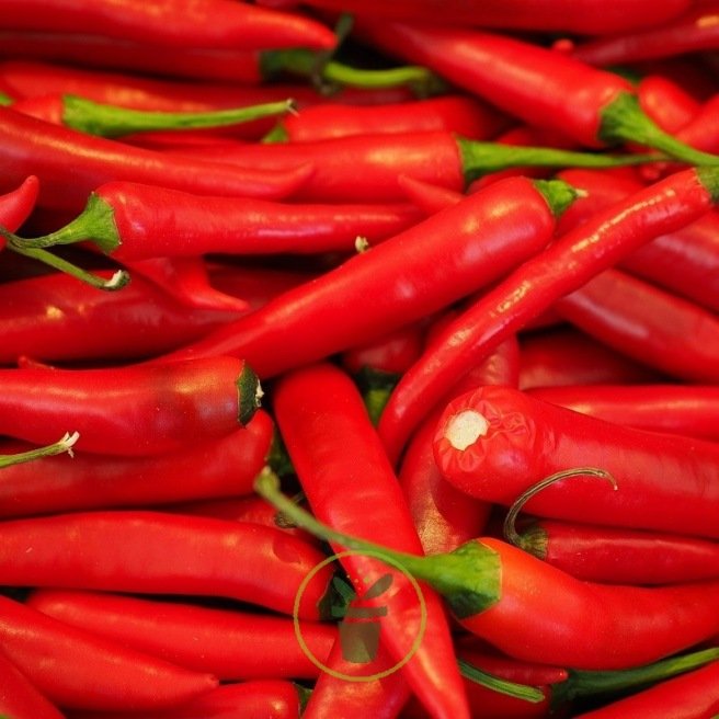 Piment de Cayenne BIO