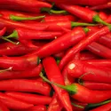 Piment de Cayenne BIO 0,25 gramme