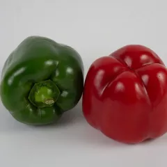 Poivron California Wonder BIO 0,25 gramme