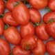 Tomate Roma BIO