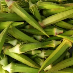 Okra - Gombo Clemson Spineless 100 graines
