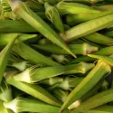 Okra - Gombo Clemson Spineless 100 graines