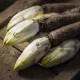 Chicorée de Bruxelles Witloof - chicon- endive BIO