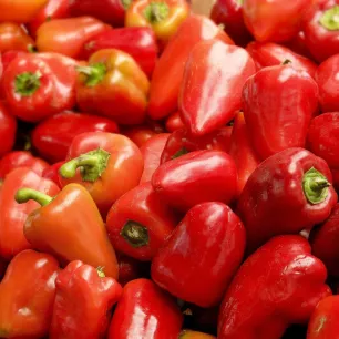 Poivron Piquillo BIO - 25 graines