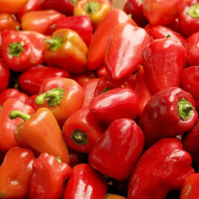 Poivron Piquillo BIO - 25 graines