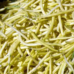 Haricot à rames Neckargold