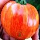 Tomates classiques et originales - Tomate Tigerella