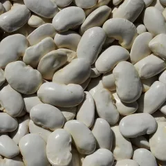 Haricot d’Espagne Orteils de Prêcheur 50 grammes