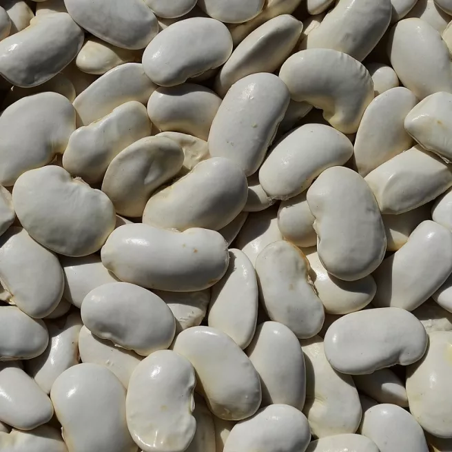 Haricot d’Espagne Orteils de Prêcheur 50 grammes