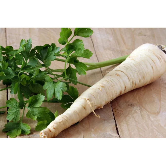 Persil racine ou tubéreux 2 grammes de graines