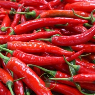 Piment de Cayenne 100 graines