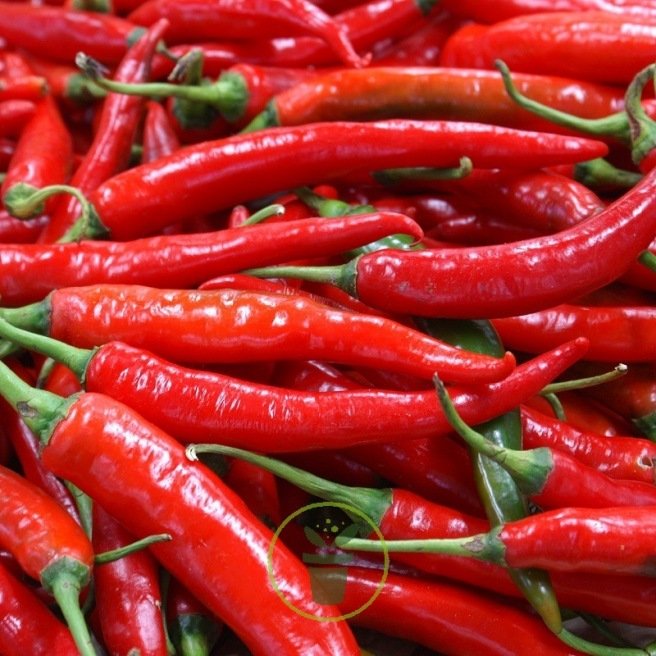 Graines de Piments de Cayenne et Jalapeño en sachet de 100 graines