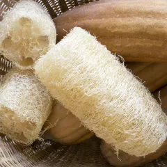 Luffa Éponge végétale 10 graines
