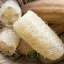 Luffa Éponge végétale 10 graines