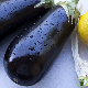Graines d'aubergine Violetta Lunga de Barbantane, variété précoce provençale