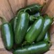 Piment Jalapeño 100 graines