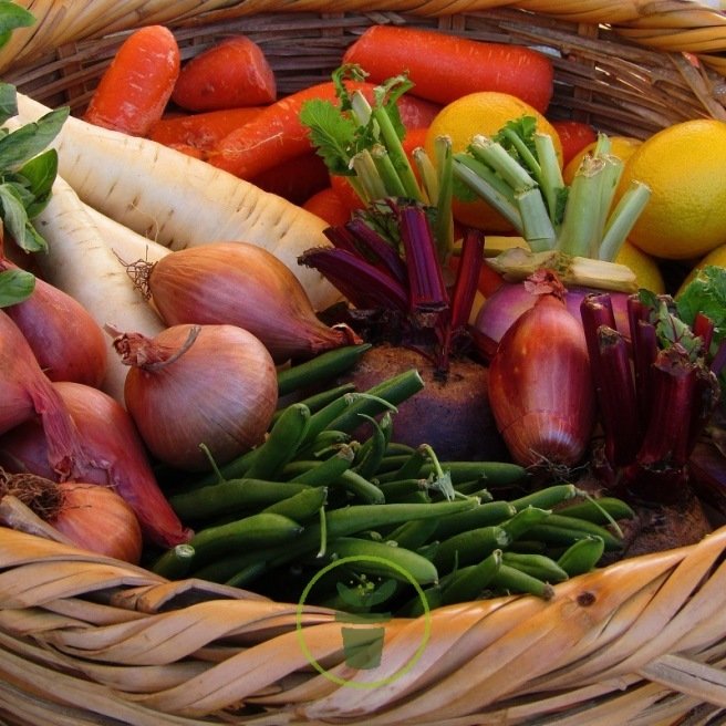 Paquet de graines équilibrées pour écureuils, à petit prix