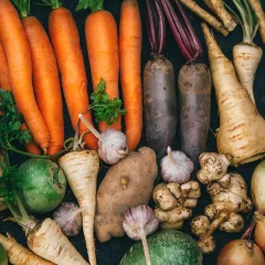 Graines de légumes anciens ou oubliés – Pack de 8 variétés 