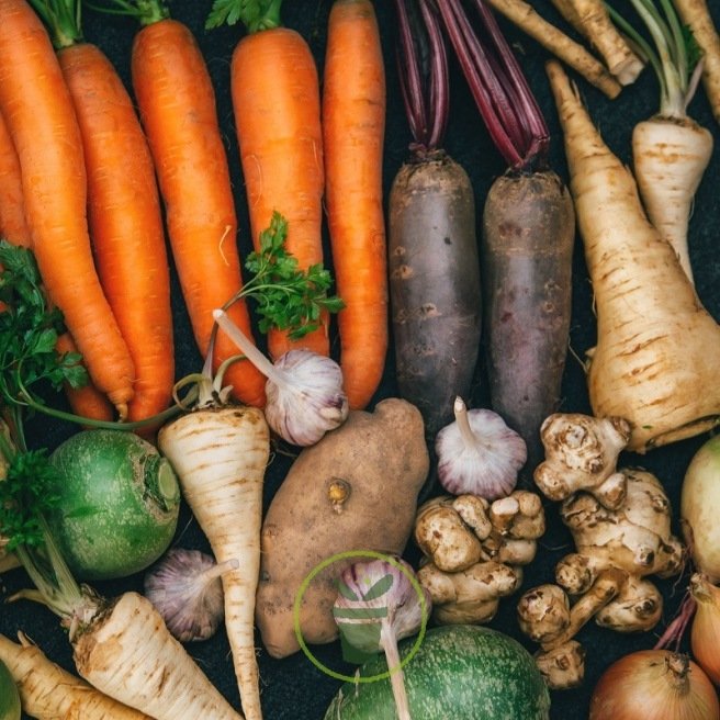 Graines de légumes anciens ou oubliés – 8 variétés 