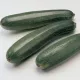 Courgette précoce maraichère