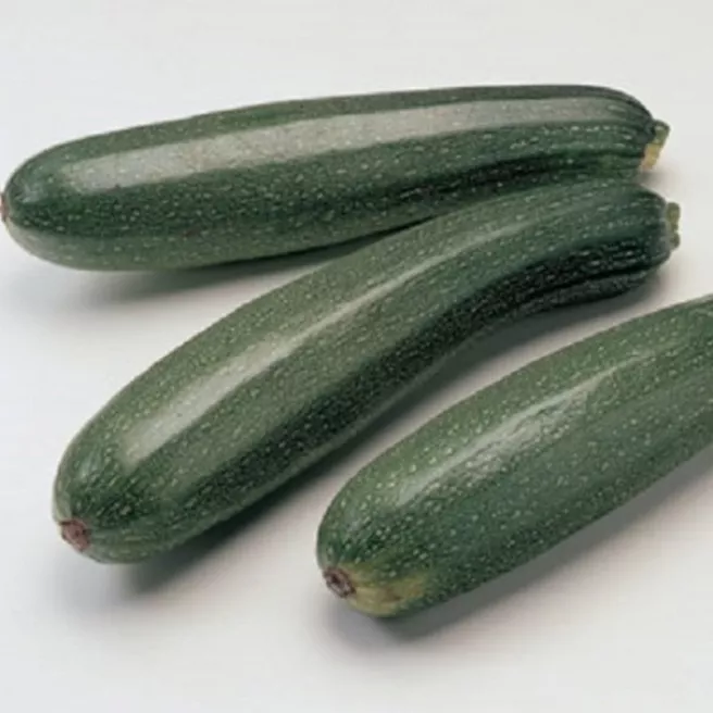 Courgette précoce maraichère